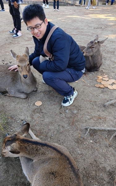 「奈良の鹿と一緒に」