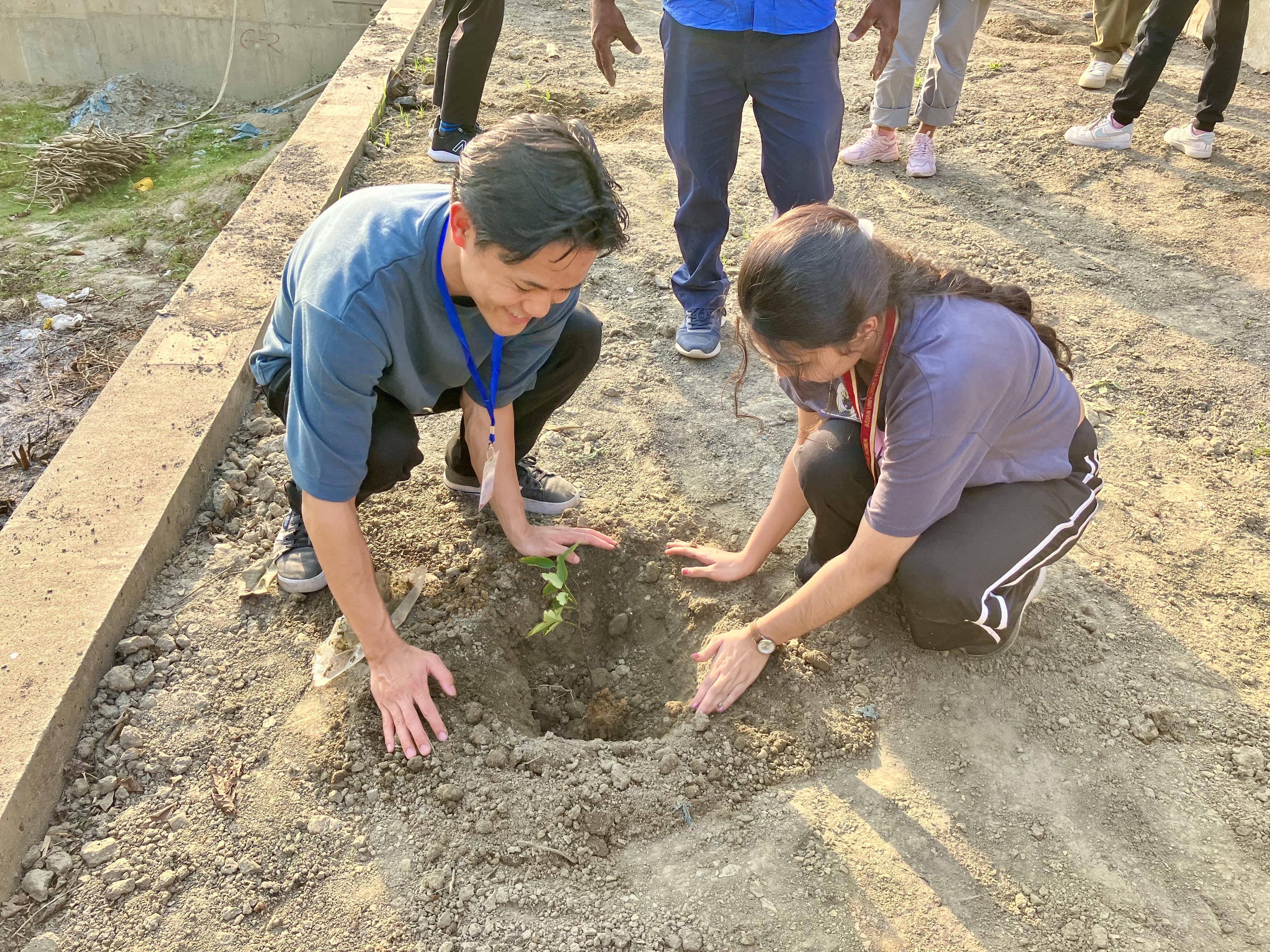 Students planting a tree