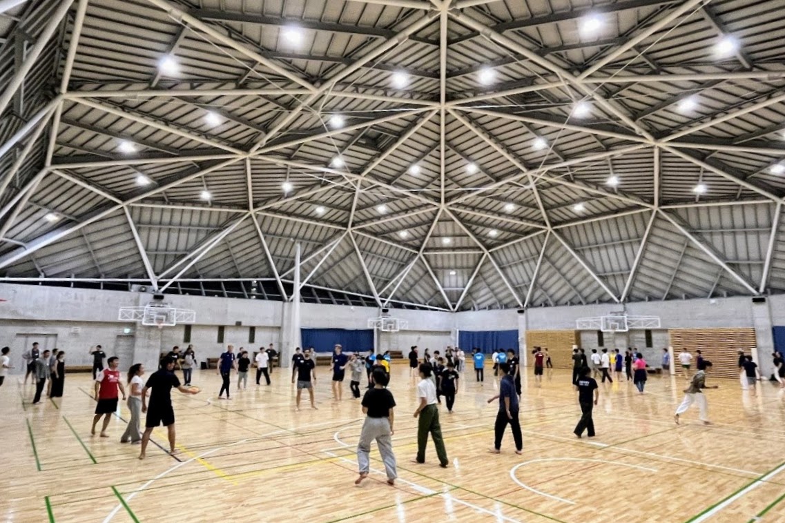 Participants playing Dodgebee