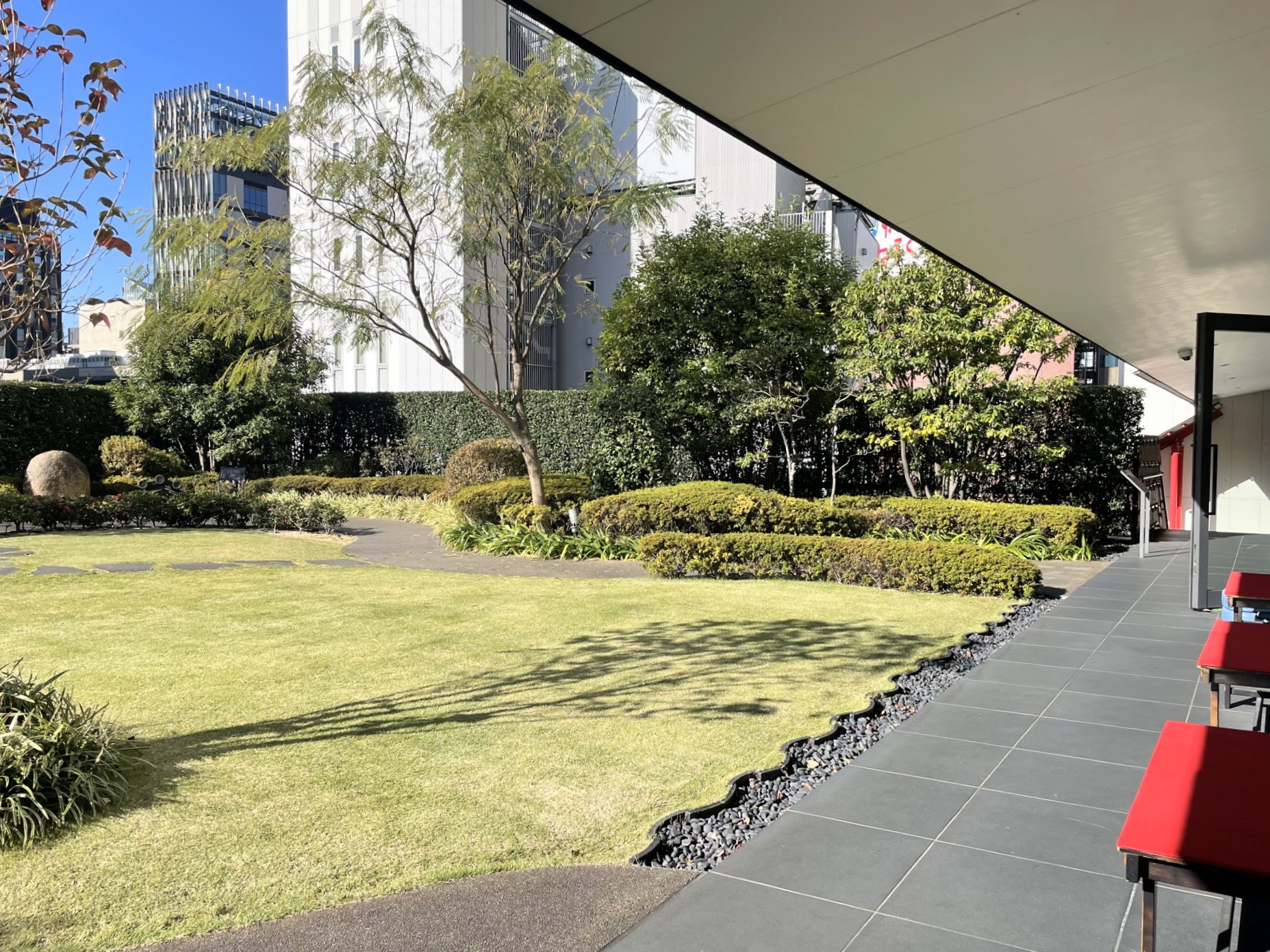 Rooftop garden