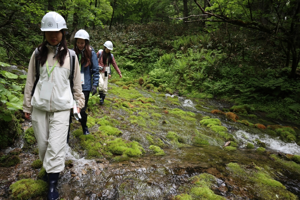 東京大学北海道演習林での実習②