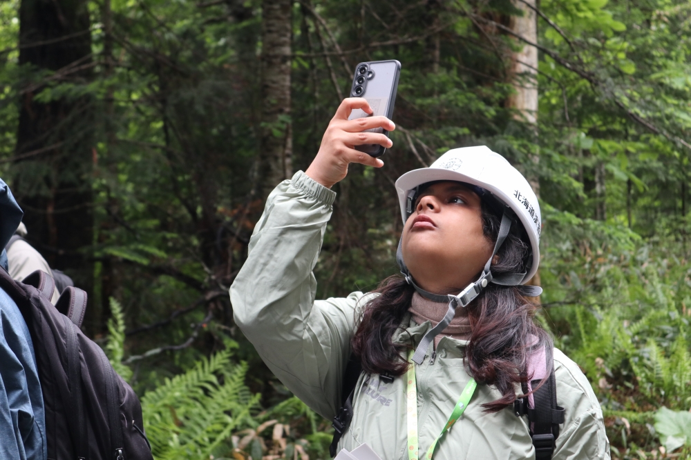 Field Study at the UTokyo Hokkaido Forest_1